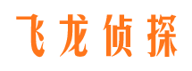 新城市私家侦探